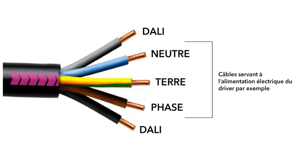 Câble utilisé pour le DALI